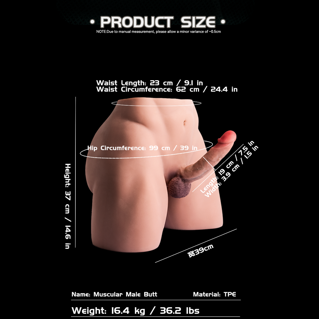 JYBL-Muscle Male Buttocks