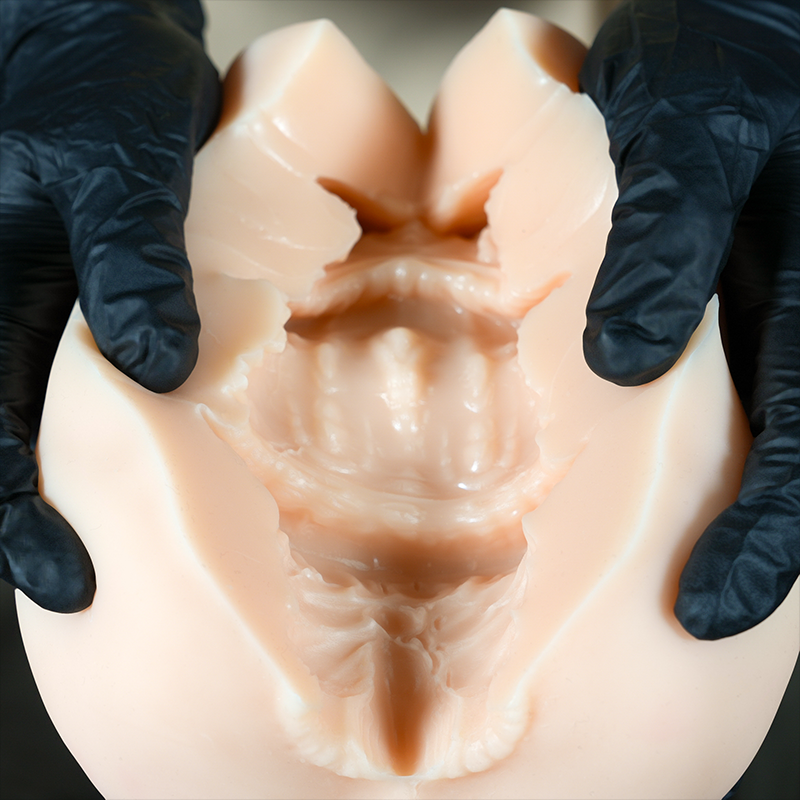 JY-TPE Half-Body Masturbator